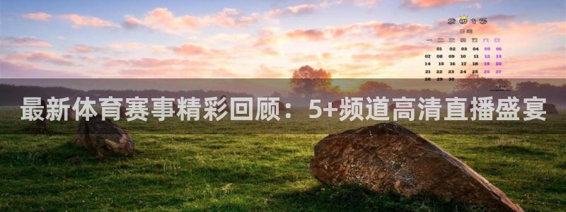 最新体育赛事精彩回顾：5+频道高清直播盛宴