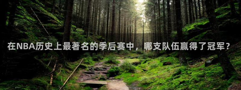 在NBA历史上最著名的季后赛中，哪支队伍赢得了冠军？
