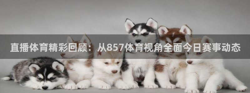 直播体育精彩回顾：从857体育视角全面今日赛事动态