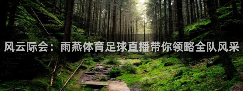 风云际会：雨燕体育足球直播带你领略全队风采