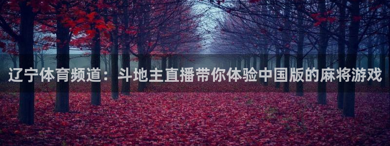 辽宁体育频道：斗地主直播带你体验中国版的麻将游戏