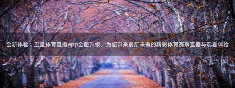 全新体验：五星体育直播app全面升级，为您带来前所未有的精彩体育赛事直播与观看体验