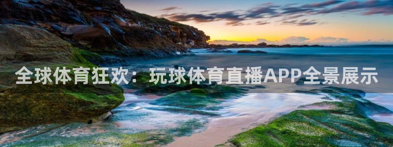 全球体育狂欢：玩球体育直播APP全景展示
