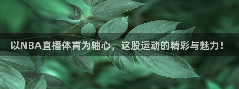 以NBA直播体育为轴心，这股运动的精彩与魅力！