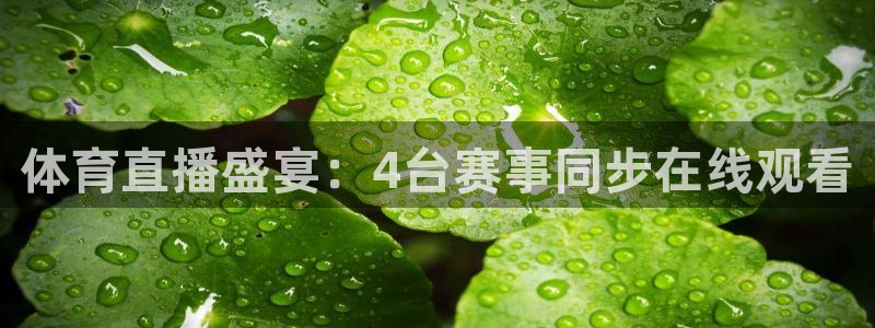 体育直播盛宴：4台赛事同步在线观看