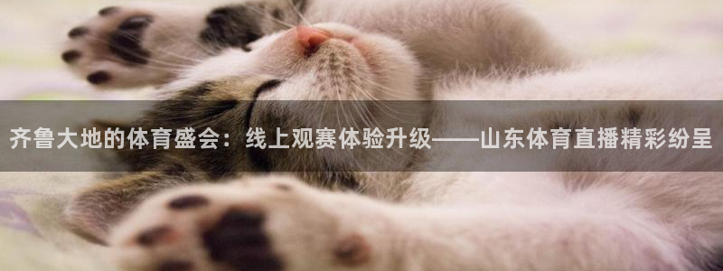 齐鲁大地的体育盛会：线上观赛体验升级——山东体育直播精彩纷呈