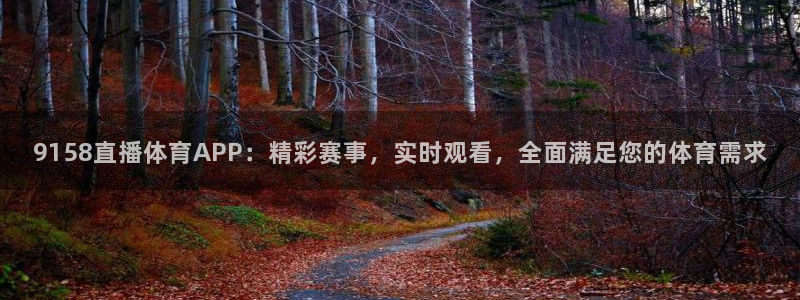 9158直播体育APP：精彩赛事，实时观看，全面满足您的体育需求