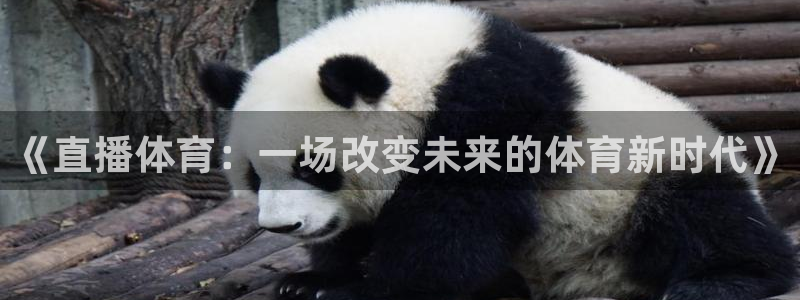 《直播体育：一场改变未来的体育新时代》