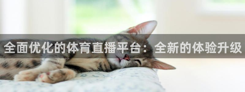 全面优化的体育直播平台：全新的体验升级